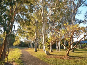 Early Morning Light on a special day in God's Love